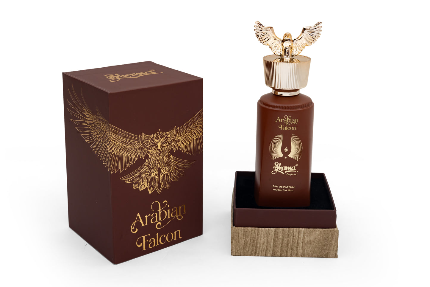 Arabian Falcon